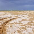 Lake Eyre - Wachgeküsst! Suche nach Wasser - South Australia