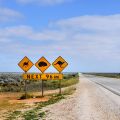 Nullarbor Plain Highlights & Faszination Outback Roadtrip - Southern Australia