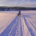 Schwedisch Lappland - Atemberaubend: Winter Husky Schlitten-Tour mit selbstgesteuertem Schlitten - Winter von seiner schönsten Seite erleben