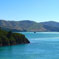 Queen Charlotte Sound by Ferry New Zealand 2