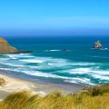 Sandfly Bay Otago Peninsula near Dunedin New Zealand