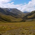 Tussock Grass at Lindis Pass South Island NZ