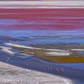 Laguna Colorada im Reserva Nacional de Fauna Andína Eduardo Avaroa - Uyuni Jeep Tour in Bolivien
