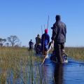 Okavango Delta Mokoro Tour Botswana Afrika