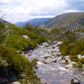 Thredbo River Walk - Kosciuszko National Park - NSW
