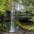 Russell Falls - Mt Field National Park - Tasmania - Tasmanien