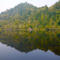 Gordon River - Franklin-Gordon Wild Rivers National Park - Tasmania