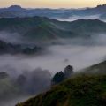 Morgennebel - Forgotten World Highway - Neuseeland