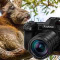 Panasonic Lumix G9 - Beste Reisekamera für Profis & Einsteiger - Passenger On Earth
