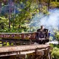 Puffing Billy Railway - Mit der historischen Dampflokomotive durch die Dandenong Ranges & über die Trestle Bridge - Umgebung von Melbourne - Victoria