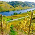 Faszinierende Rheinland-Pfalz Reisetipps - Die schönsten Burgen, Weinberge an Mosel & Rhein - Ein Reisebericht von einer Campervan-Tour