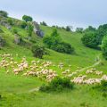 Schäferweg Wanderung - Schönste Wanderung im Donau-Ries mit vielen Geologie & Archäologie Highlights - Bayern