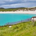 Wunderschöner Ausblick auf Vatersay Beach - Äußere Hebriden, Schottland
