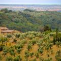 Hügellandschaft in de Toskana in Italien