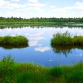 Wurzacher Ried & Riedsee - Größtes, intaktes Hochmoor Mitteleuropas - Baden-Württemberg