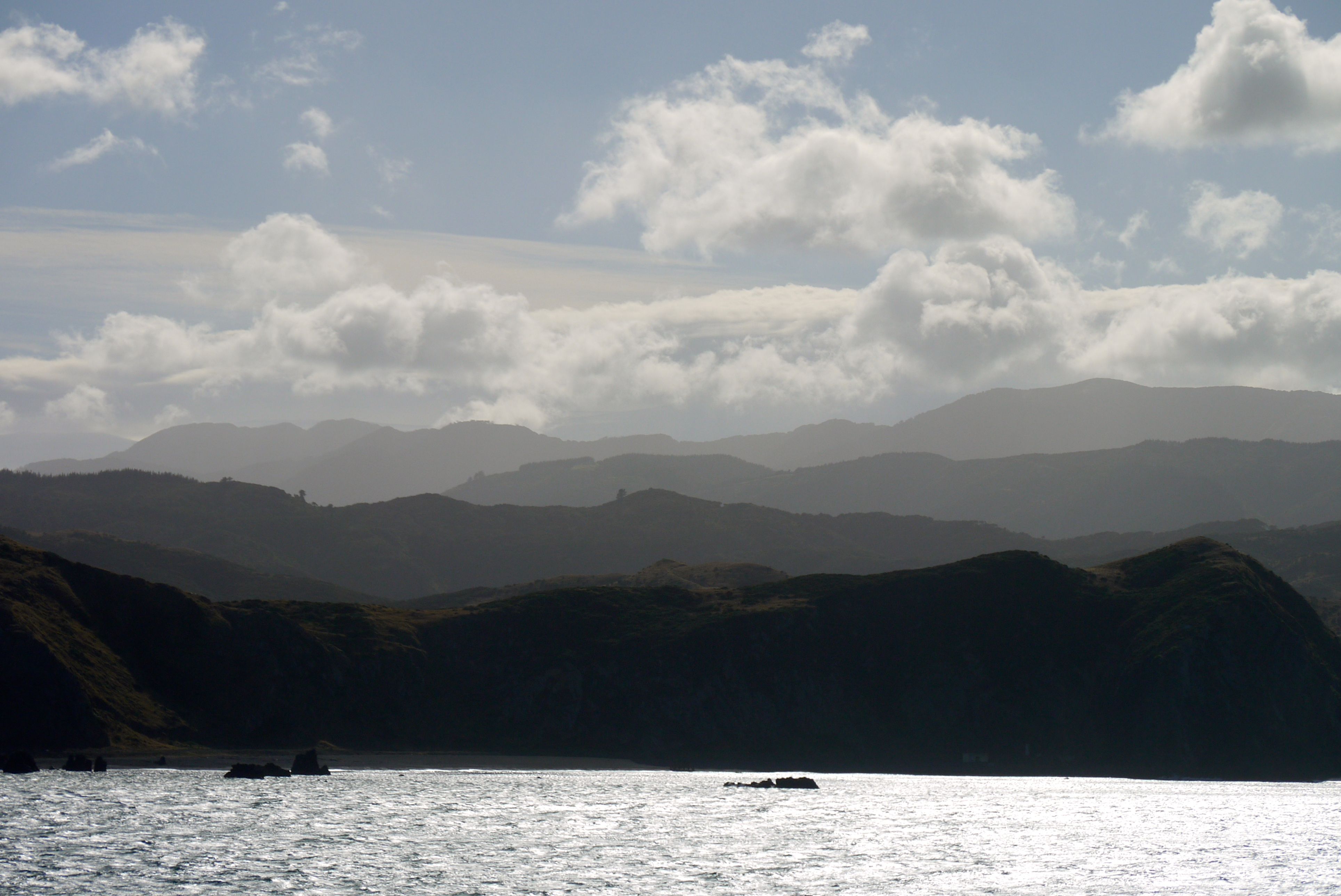 View from Inter-Island Ferry New Zealand 1