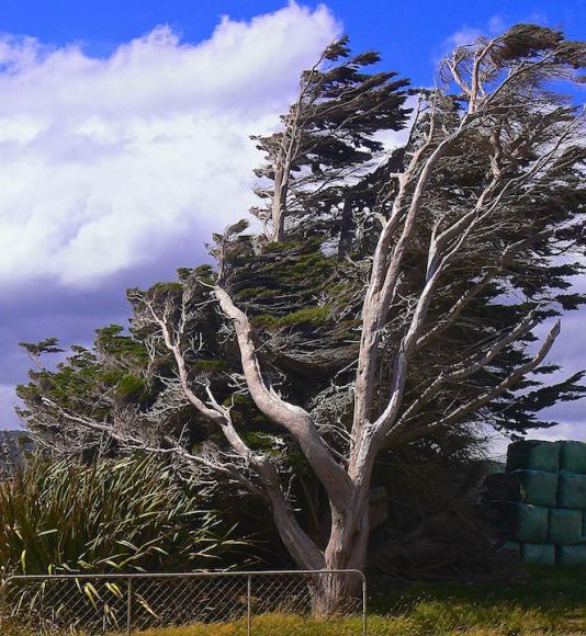Stormy Coast - Te Waewae Bay - South Island West of Invercargill - NZ