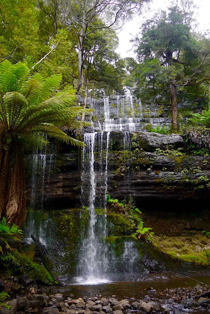 Blick auf Russell Falls - Mt Field Natioanal Park - Tasmania -Tasmanien