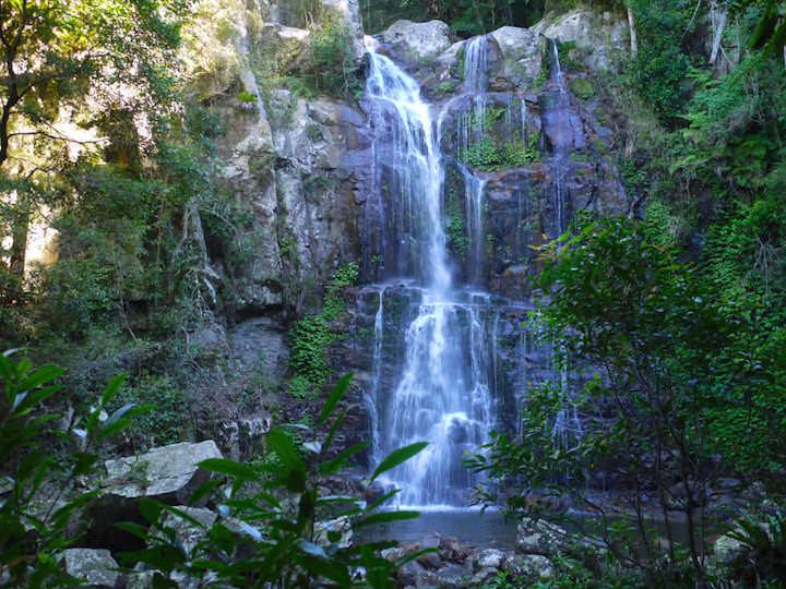 Minnamurra Rainforest Waterfall