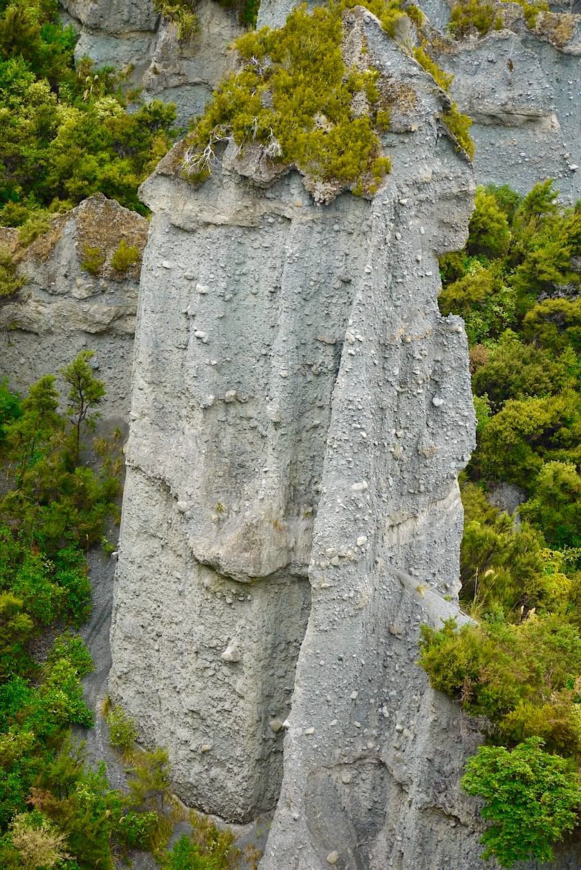 Putangirua Pinnacles - Wanderung zu den imposante Steinsäulen - Nahe Cape Palliser - Nordinsel, Neuseeland