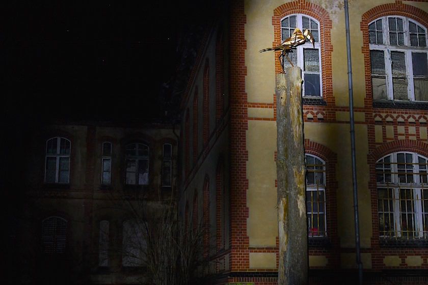 Lost Places - Farben des Verfalls - CEWE Fotoworkshop