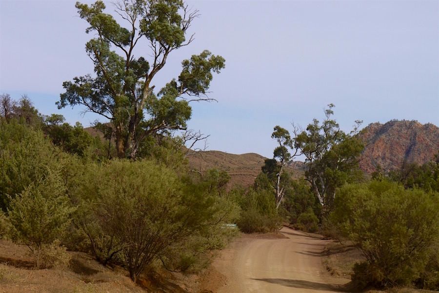 Bunyeroo Gorge Road - Ikara-Flinders Ranges - South Australia