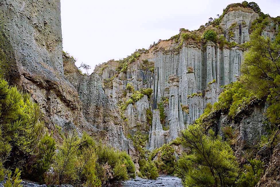 Putangirua Pinnacles - Schluchtenwanderung entlang der Talsohle - Nordinsel, Neuseeland