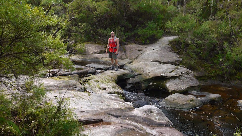 barren grounds walk NSW