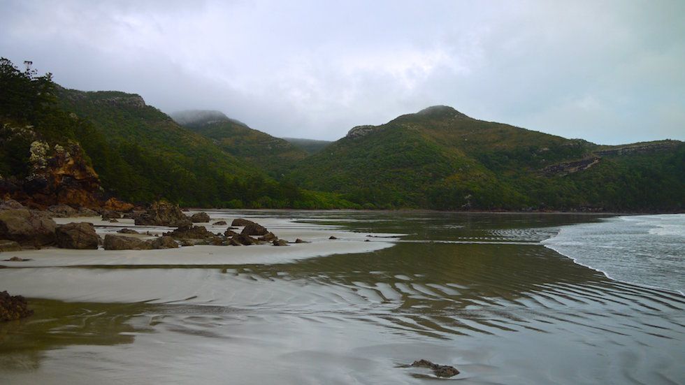 early morning at cape hillsborough
