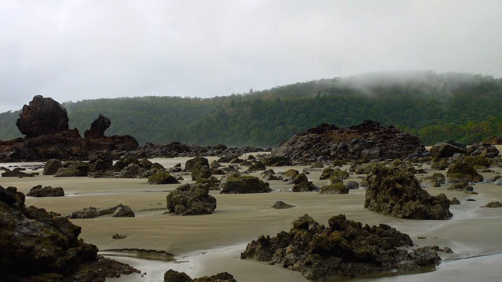 misty morning at beach at cape hillsborough - North Queensland