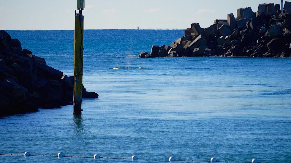 Tuncurry Rock Pool - Forster Tuncurry - Great Lakes New South Wales