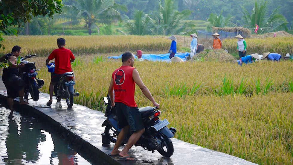 Feiertag Moped putzen - Von Ubud nach Lovina - Bali, Indonesien