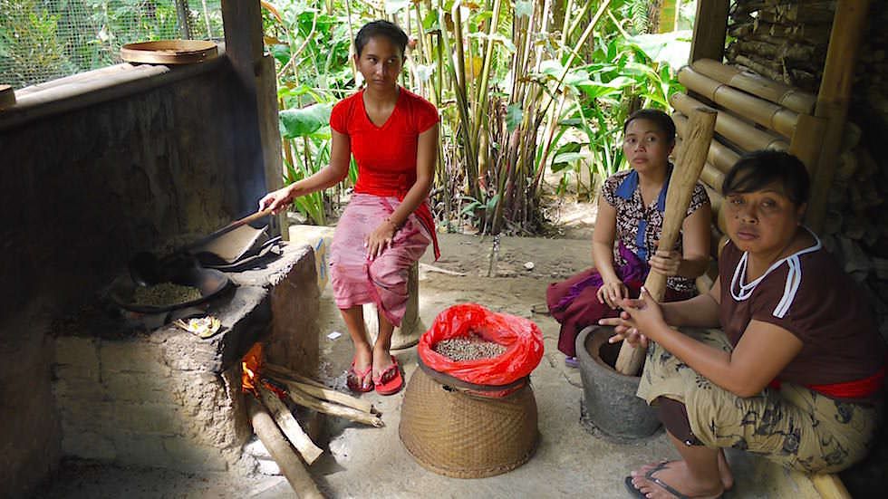 Herstellung Luwak Kaffee - Von Ubud nach Lovina - Bali, Indonesien