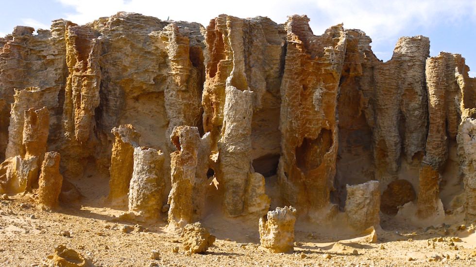 Petrified Forest at Cape Bridgewater