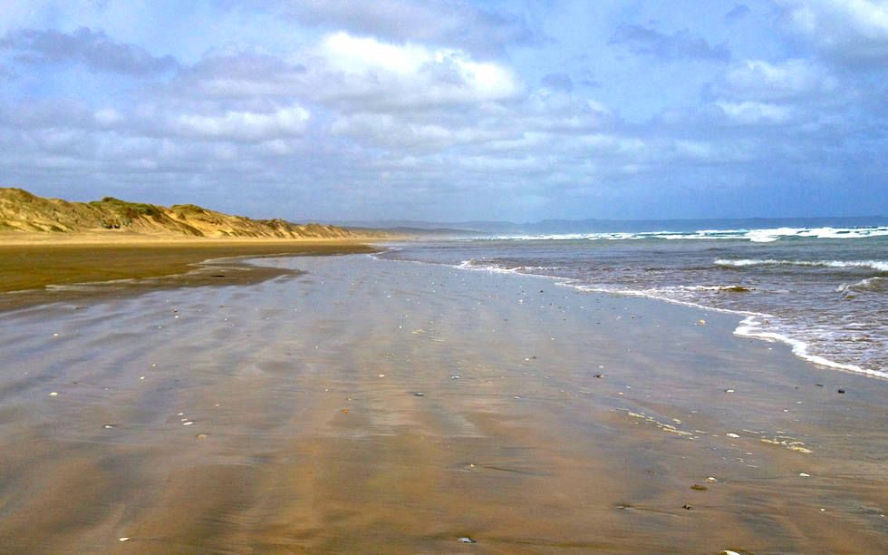 View on Ninety Mile Beach North Island NZ