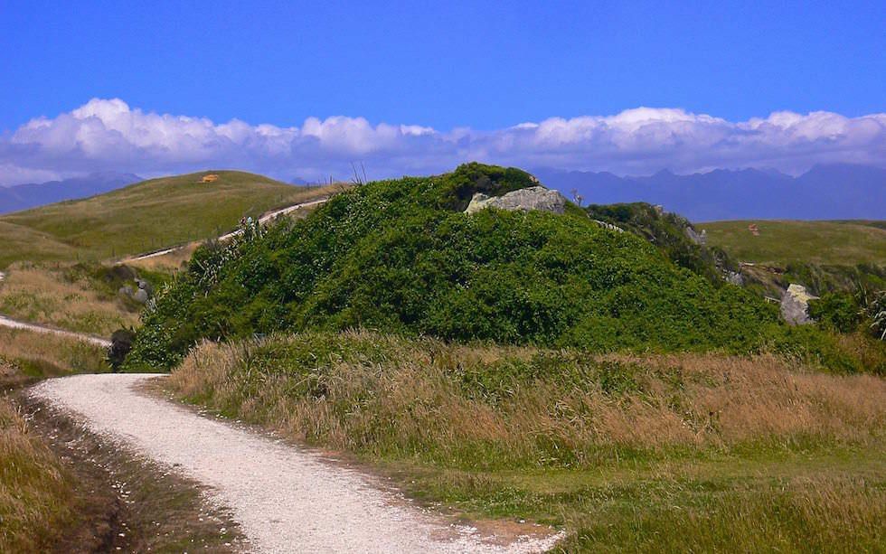Cape-Foulwind-Walk-2