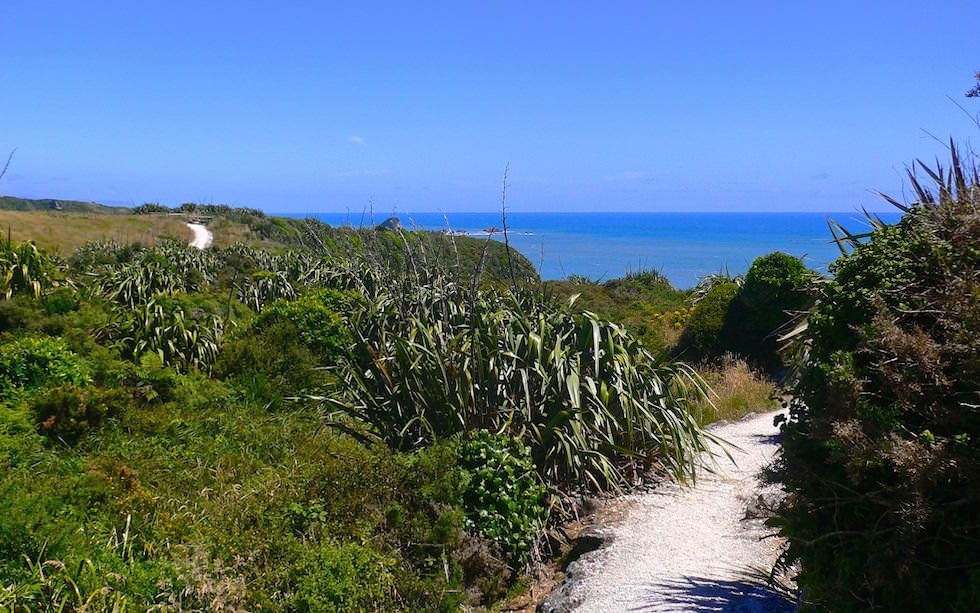 Cape-Foulwind-Walk