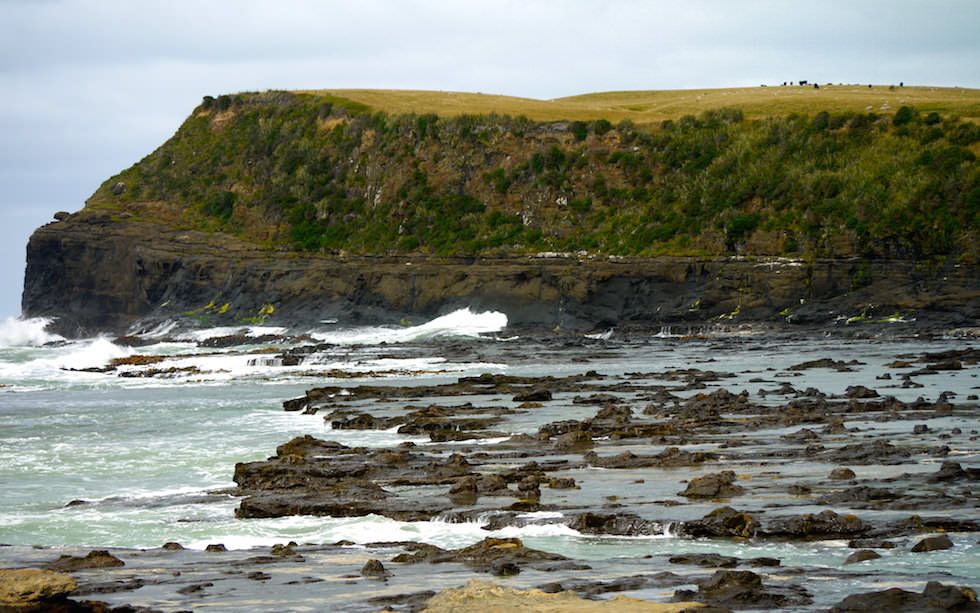 Curio Bay Versteinerter Wald Südinsel Neuseeland