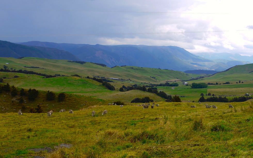 Beautiful back roads Taihape Road & Erewhon Road NZ