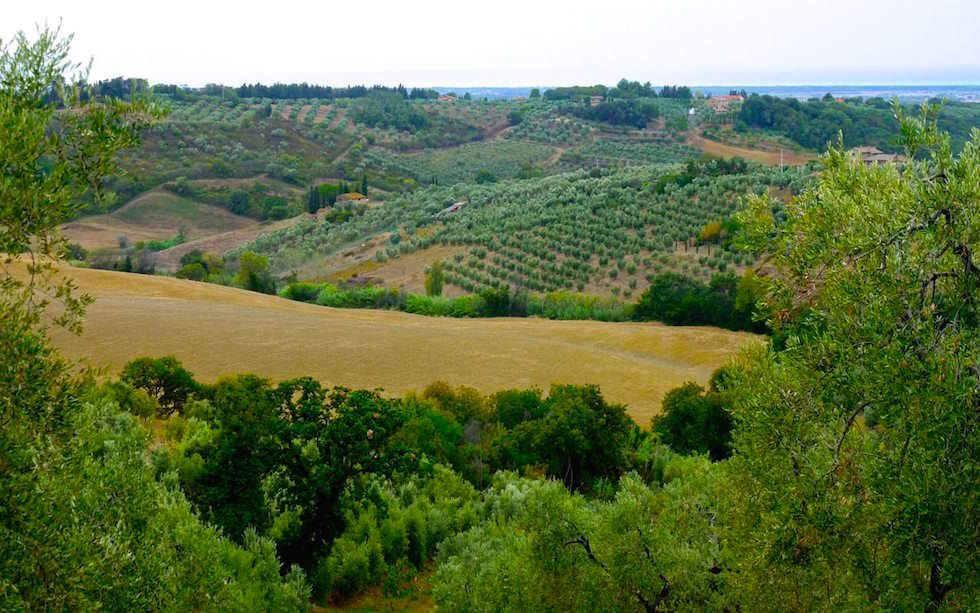 Landschaft in der Toskana Italien