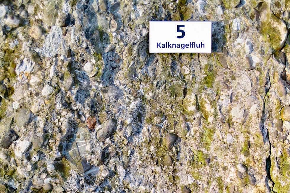 Alpseehaus - Nagelfluh Gestein - Großer Alpsee bei Immenstadt - Bayern