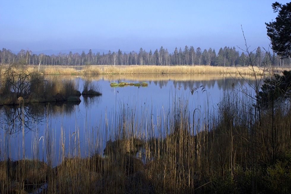 Riedsee bei Bad Wurzach - größte Moorlandschaft Süddeutschlands - Allgäu - Baden Württemberg