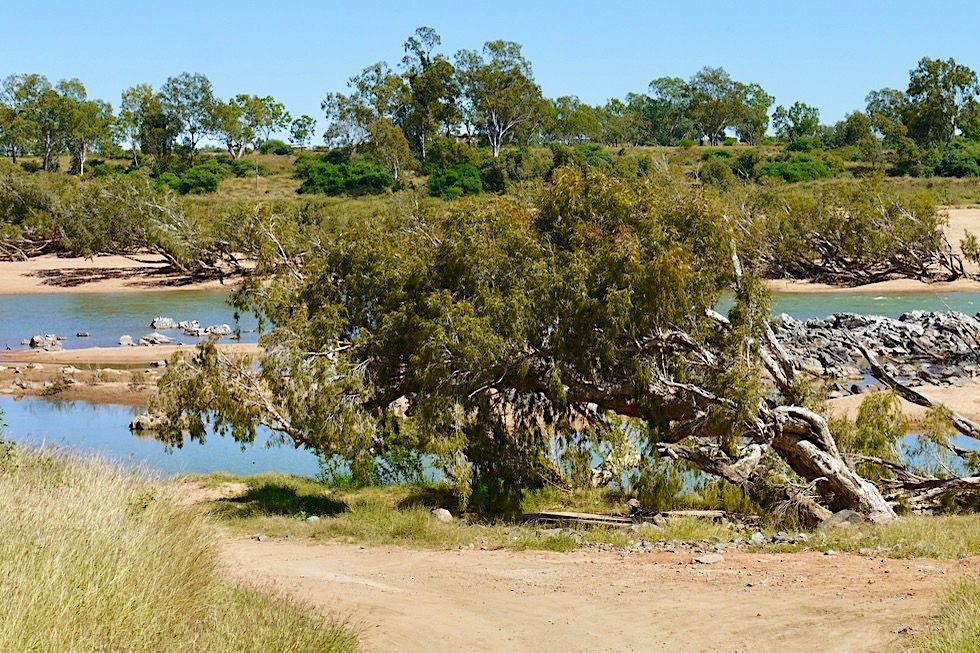 Burdekin River bei Charters Towers - Allrad Pisten, Vögelbeobachtung, Angeln - Queensland