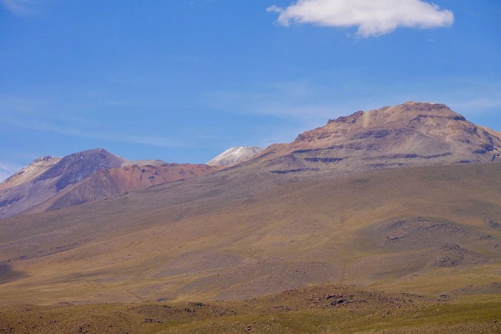 Blick auf Chachani & Bergwelt - Salinas y Aguada Blanca National Reserve - Arequipa - Peru