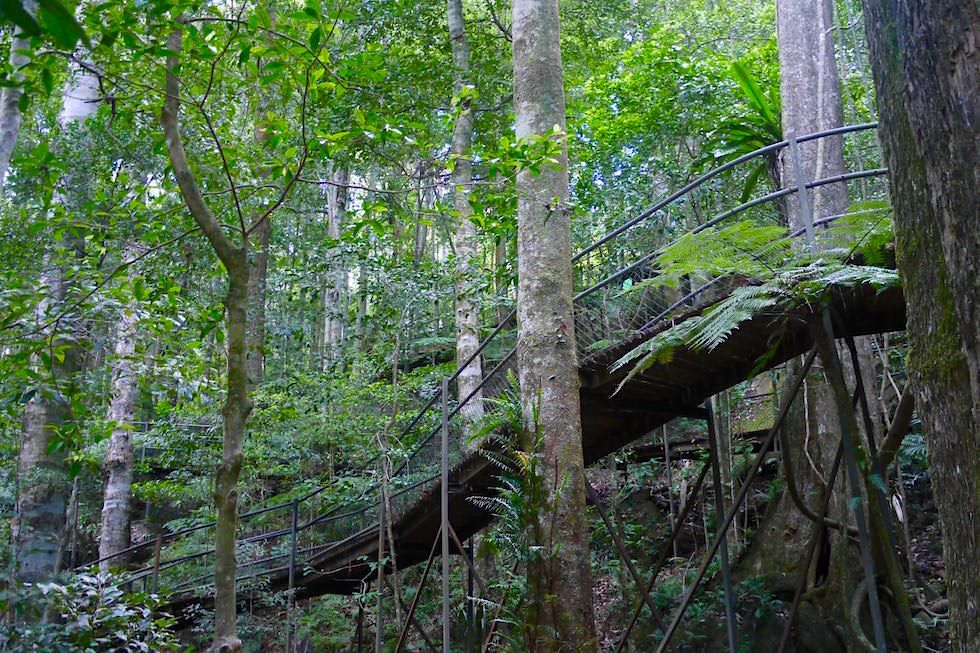 Wunderschöner Boardwalk durch den Minnamurra Rainforest - Illawarra - New South Wales 
