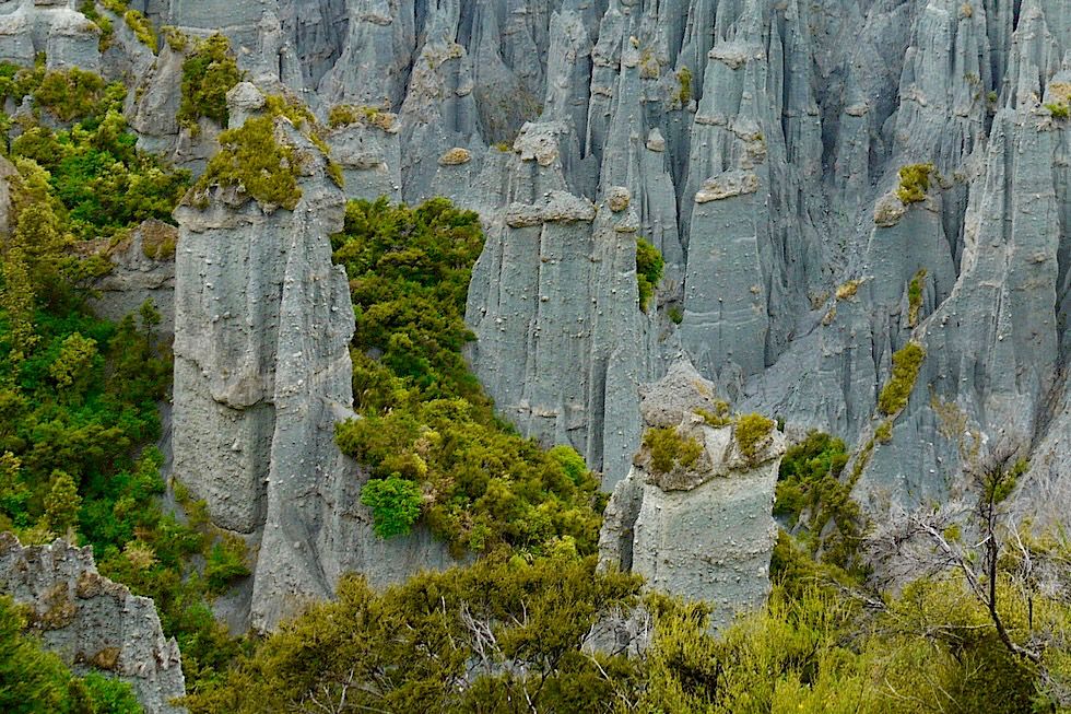 Putangirua Pinnacles - Spektakulärer Ausblick vom Pinnacles Lookout - Nahe Cape Palliser an der Südostküste der Nordinsel von Neuseeland