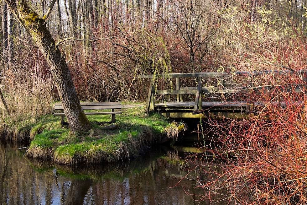 Wiesengänger Route & Wandertrilogie: Riedsee - Hochmoor - Bad Wurzach - Allgäu - Baden-Württemberg
