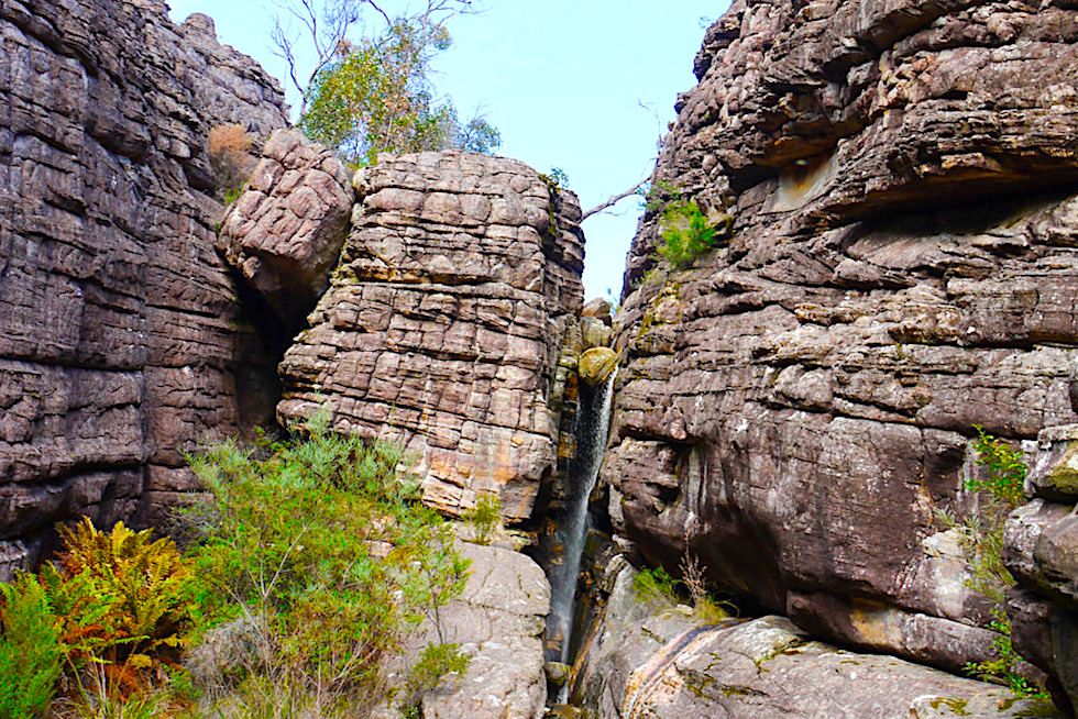 Grampian Nationalpark Highlights: Ein Eldorado für Outdoor & Wildlife Fans - Victoria