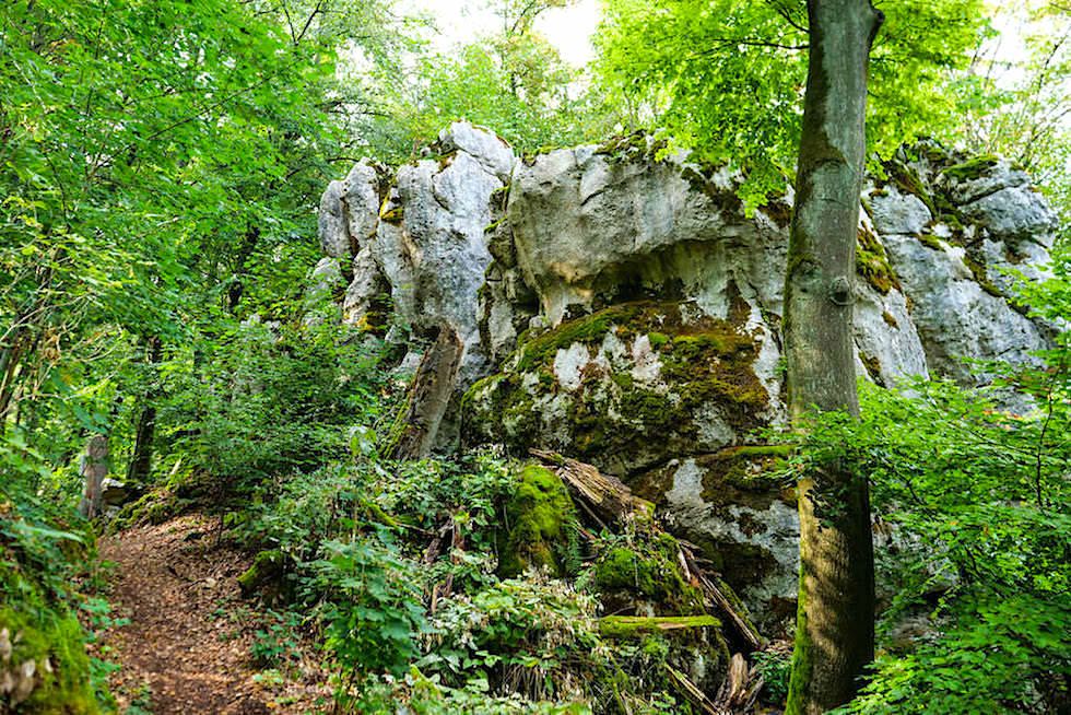 Wunderschöne Klamm-Wanderung bei Riedenburg - Altmühltal Highlight - Bayern