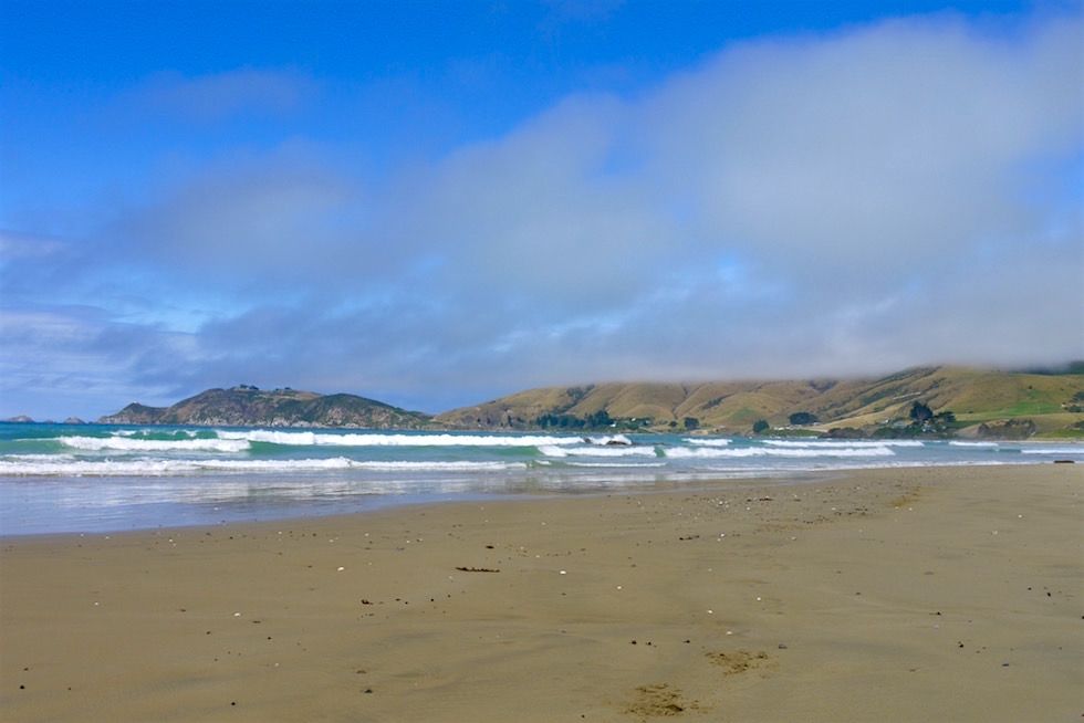 Blick auf Nugget Point Landzunge - Catlins - Neuseeland Südinsel